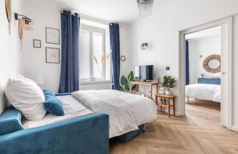 Appart Deluxe Prive Strasbourg Centre Avec Parking Gratuit 외부 사진